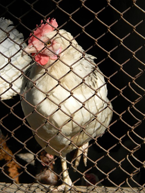 衡发展理念 衡发展理念