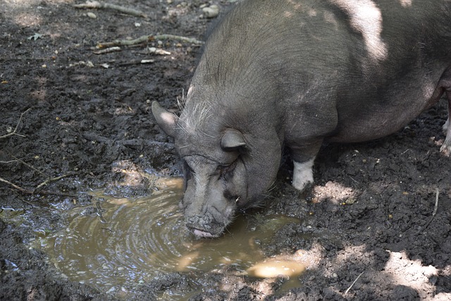 增光添彩 增光添彩