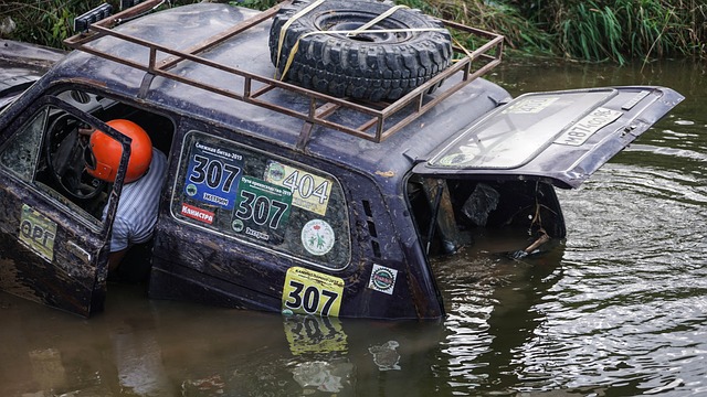 对战也同样 对战也同样