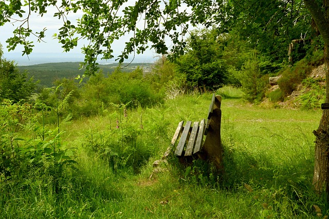 将常规赛优 将常规赛优